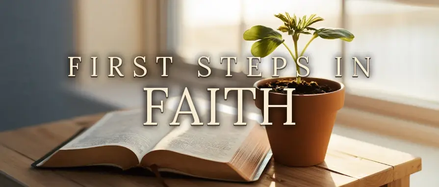 First Steps in Faith — For new believers, what comes next
